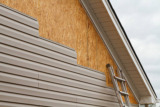 Professional Siding Inspection technician working in Nokesville, VA